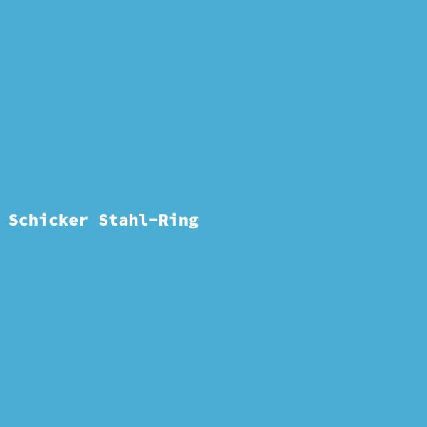 Schicker Stahl-Ring