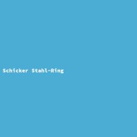 Schicker Stahl-Ring