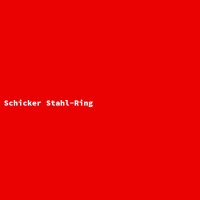 Schicker Stahl-Ring