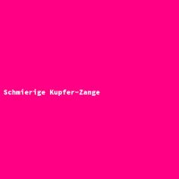 Schmierige Kupfer-Zange