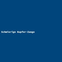 Schmierige Kupfer-Zange