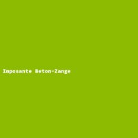 Imposante Beton-Zange