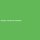 Kleine Plastik-Flasche