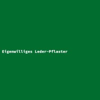 Eigenwilliges Leder-Pflaster