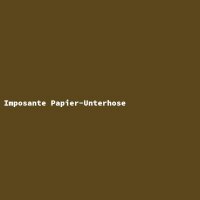 Imposante Papier-Unterhose