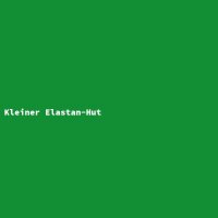 Kleiner Elastan-Hut