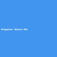 Eleganter Wasser-Hut