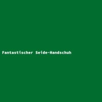 Fantastischer Seide-Handschuh