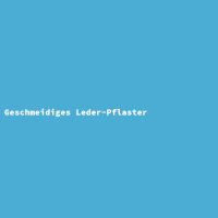 Geschmeidiges Leder-Pflaster