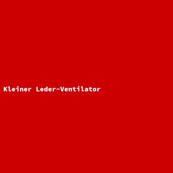 Kleiner Leder-Ventilator