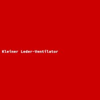 Kleiner Leder-Ventilator