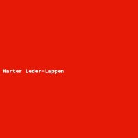 Harter Leder-Lappen