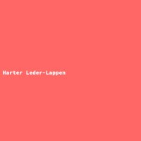 Harter Leder-Lappen