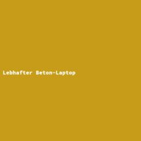 Lebhafter Beton-Laptop