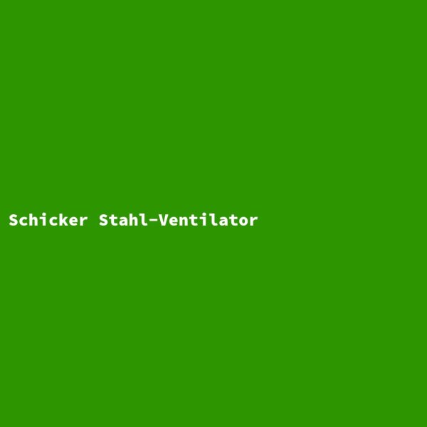 Schicker Stahl-Ventilator